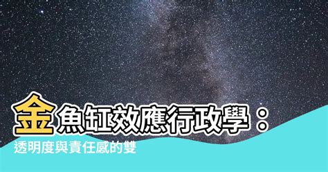 金魚缸效應行政學|金魚缸效應：公務員的挑戰